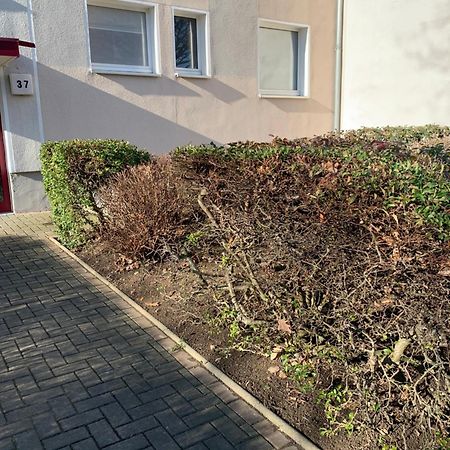 Mycha Ferienwohnung Гослар Екстериор снимка