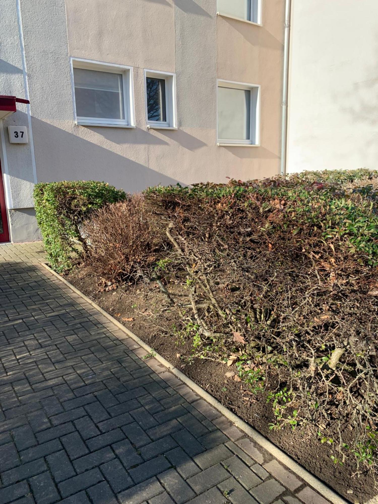 Mycha Ferienwohnung Гослар Екстериор снимка